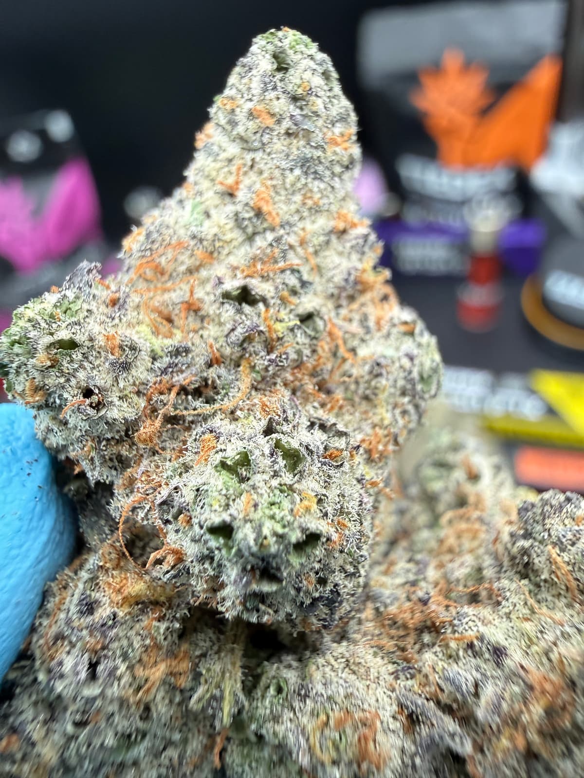Mango Kush | אינדיקה - מוצר איכותי של צדק