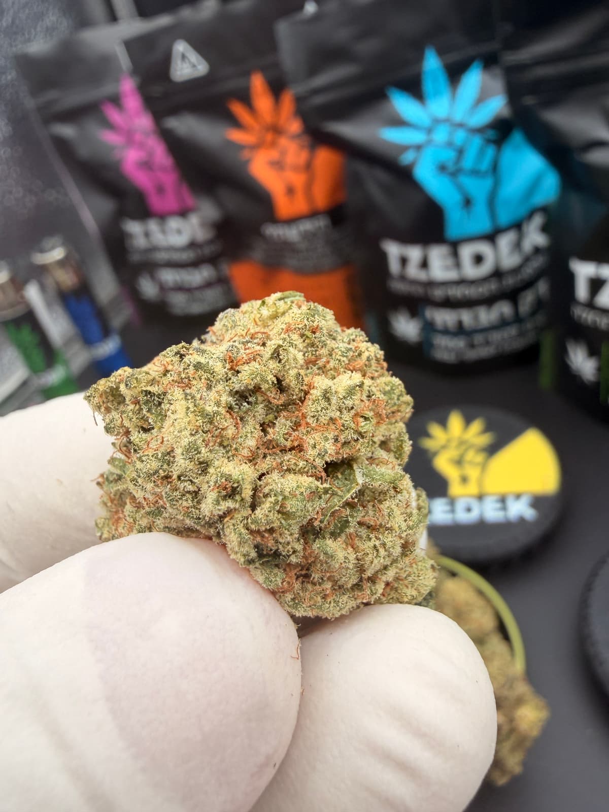Black Cherry Gelato | אינדיקה - מוצר איכותי של צדק