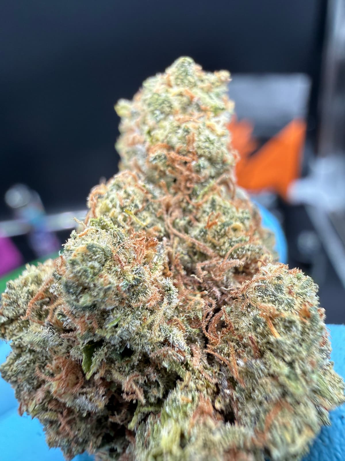 Fire OG | הייבריד - מוצר איכותי של צדק