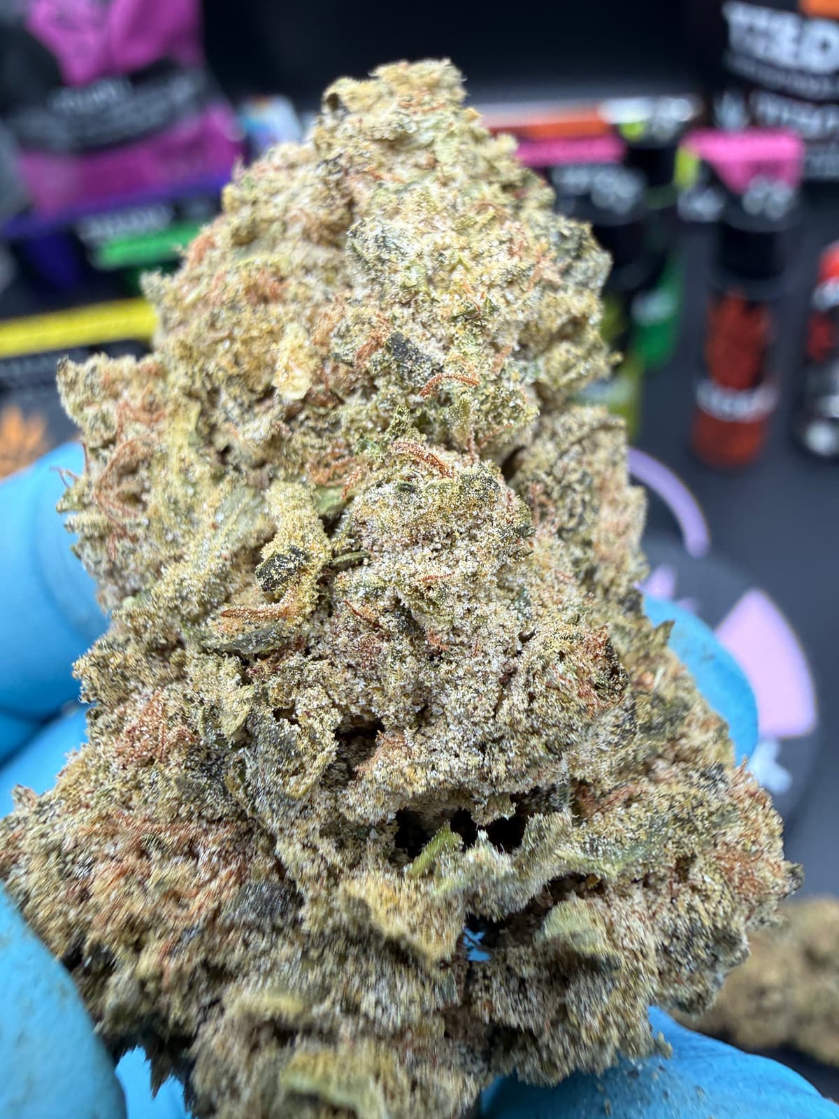 Honey Cream | אינדיקה - מוצר איכותי של צדק