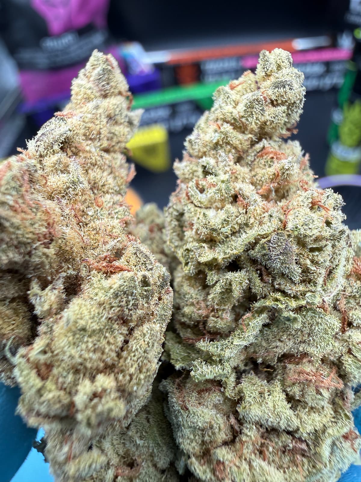 Lemon Sunrise | סאטיבה - מוצר איכותי של צדק