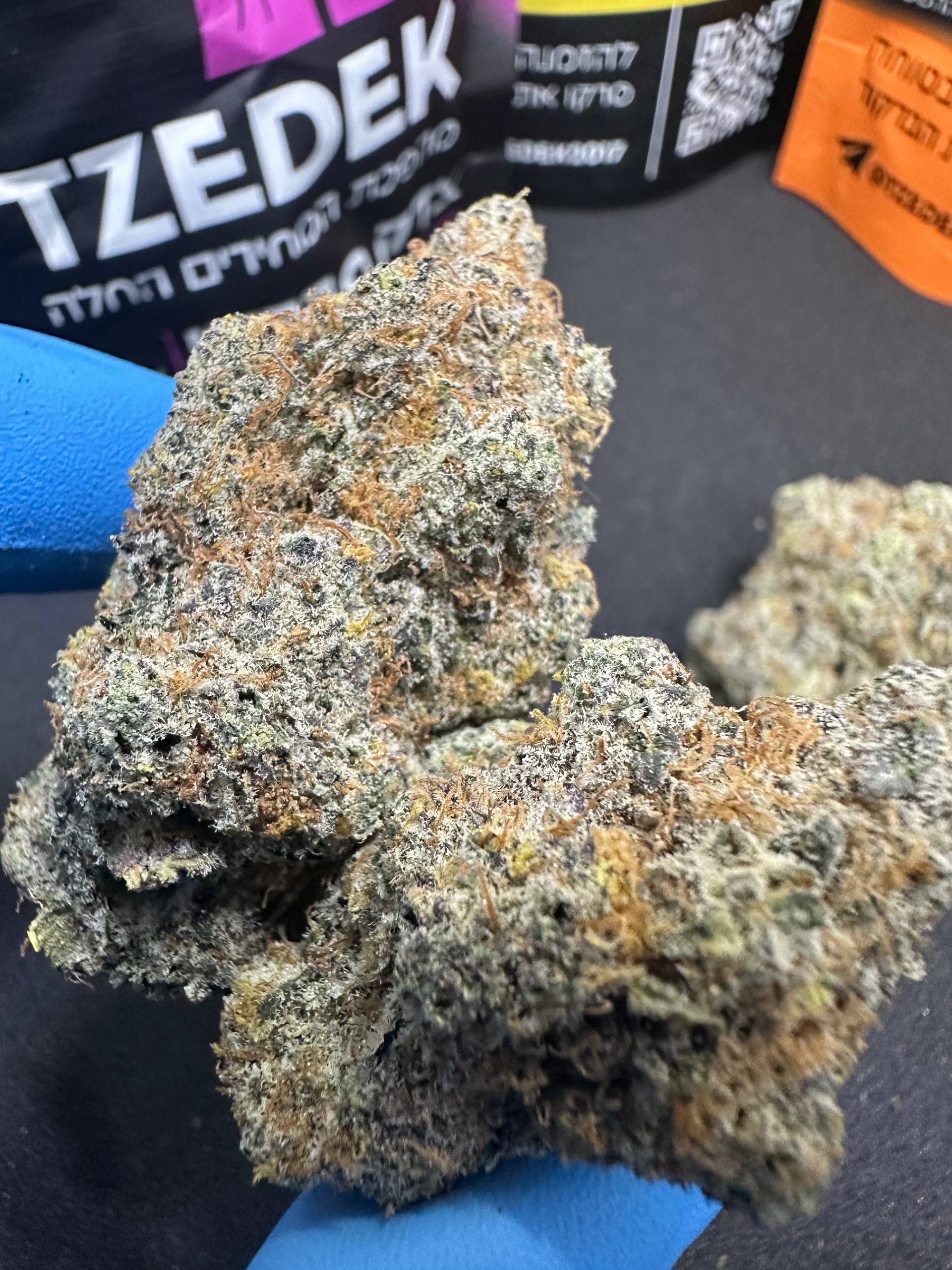 סאור דיזל | סאטיבה - מוצר איכותי של צדק