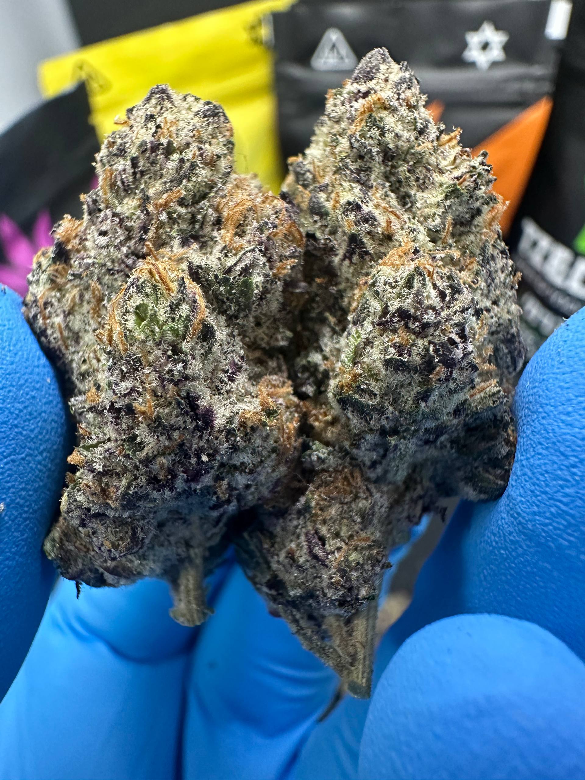 גרנד דדי פרפל | אינדיקה - מוצר איכותי של צדק