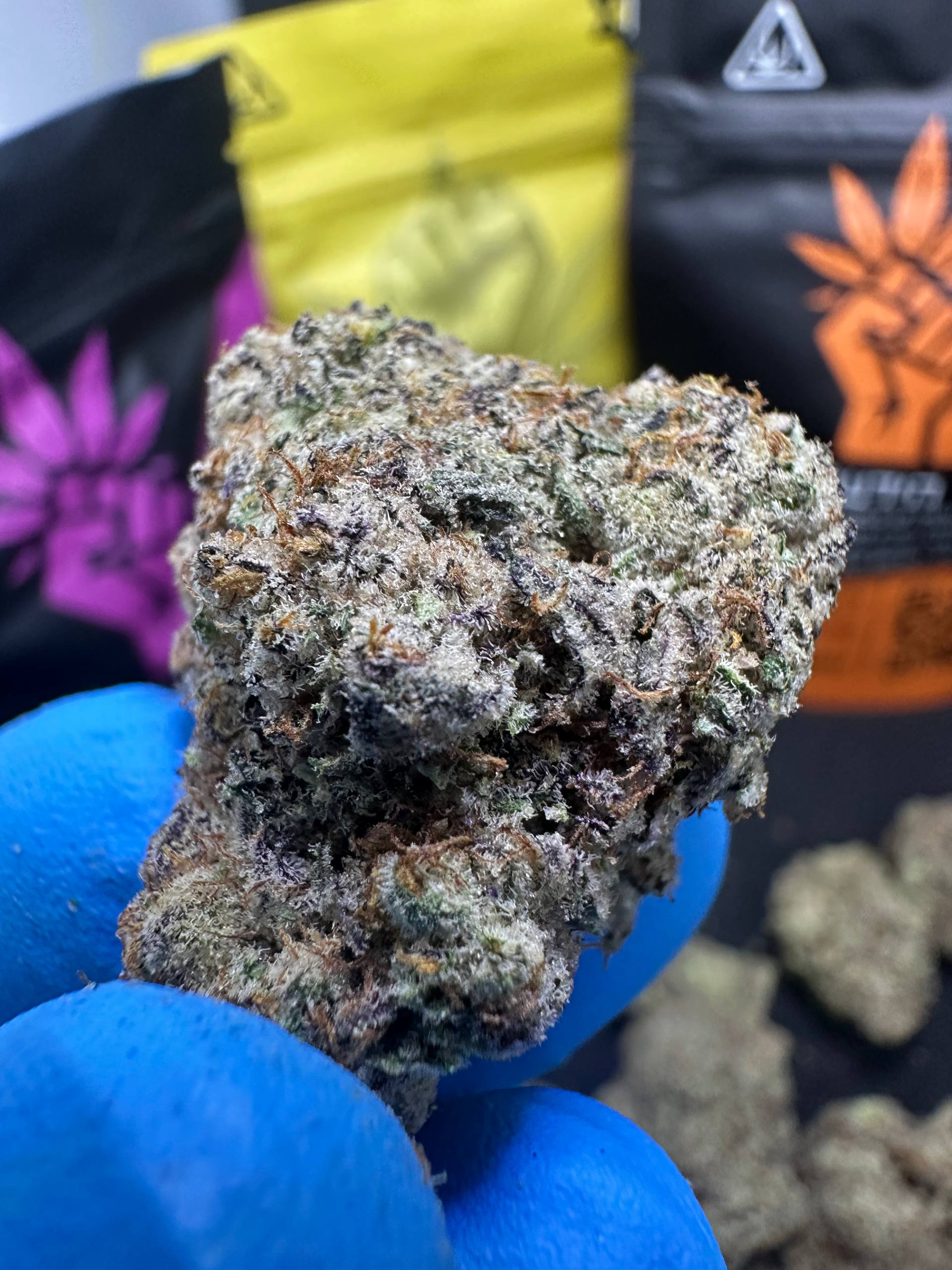 OG קוש | הייבריד - מוצר איכותי של צדק