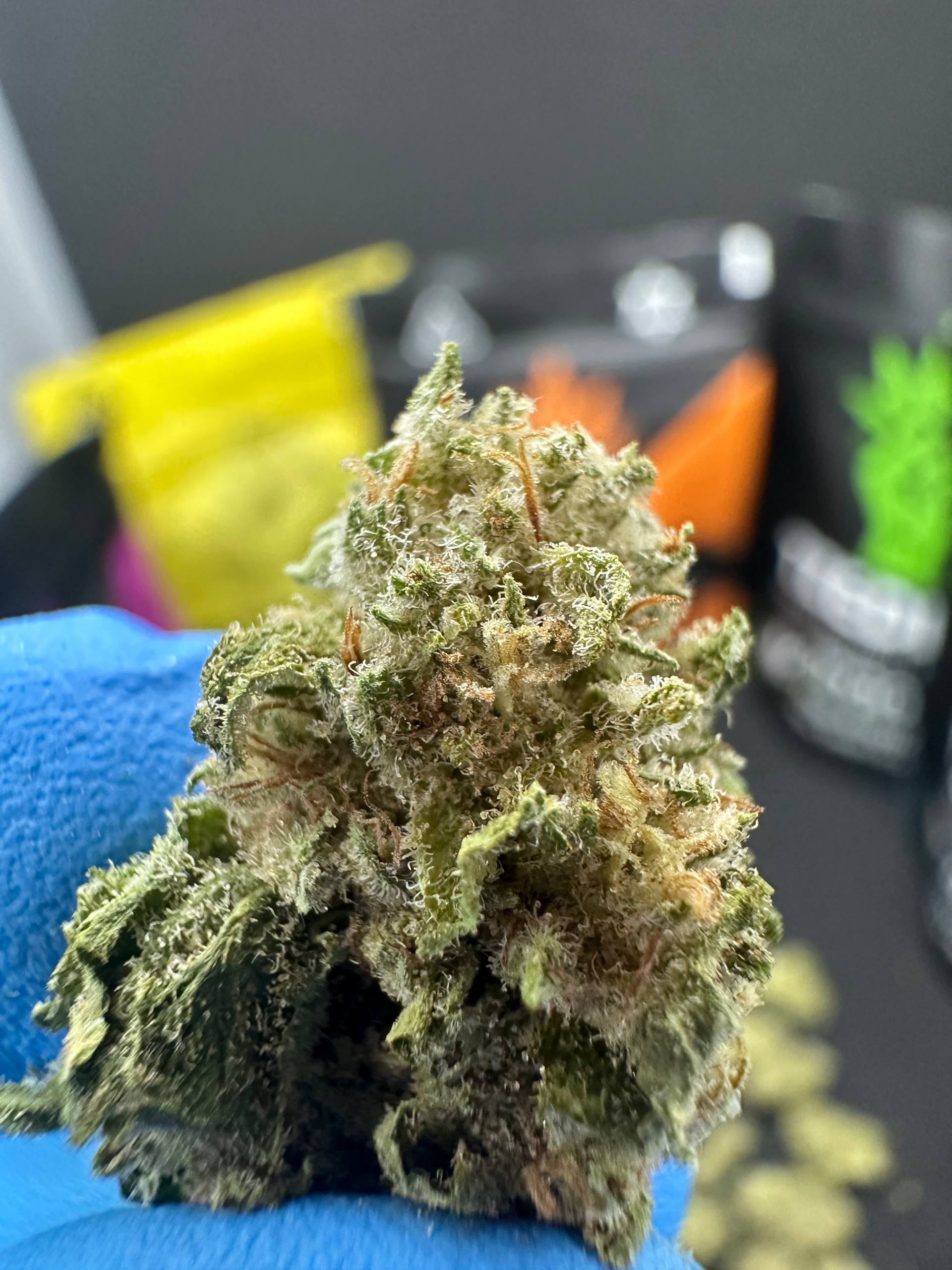 באצ'ון מתחלף - מוצר איכותי של צדק