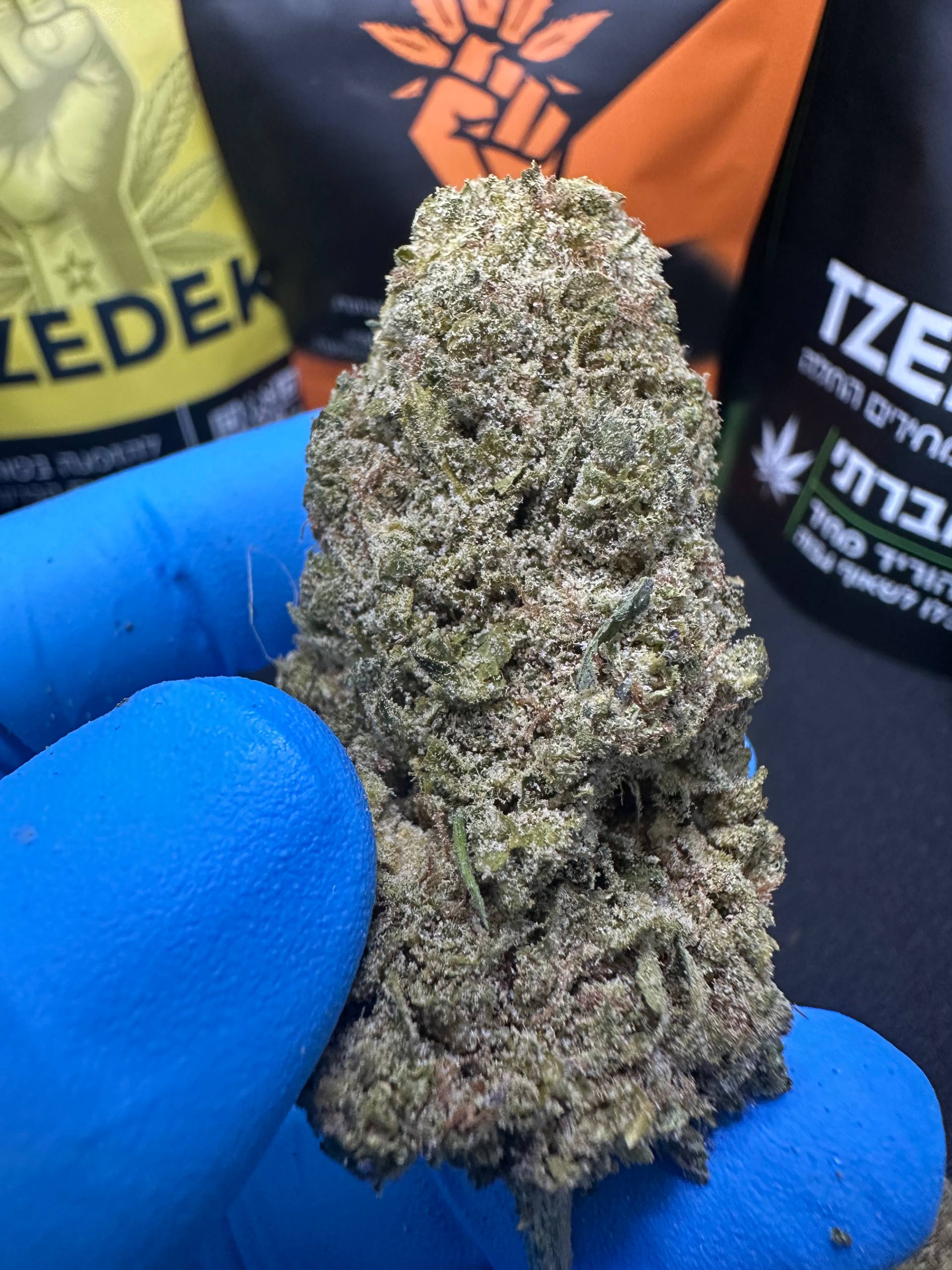 בלו דרים | הייבריד 30/70 - מוצר איכותי של צדק